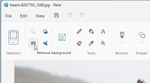 The background removal button in Microsoft Paint toolbar.