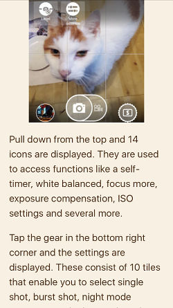 Safari Reader view on iPhone