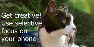 Use Selective Focus mode when taking portrait photos on the Samsung Galaxy phone to blur the background