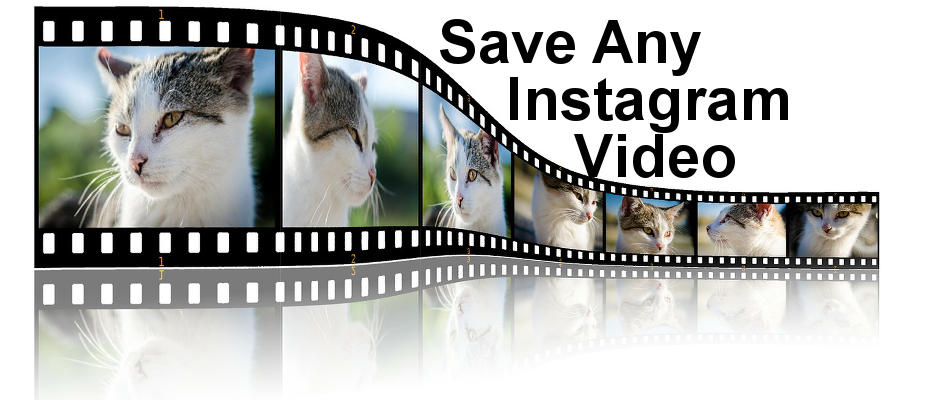 Save photos and videos from Instagram to your iPhone Camera Roll to watch later with the help of these free apps.