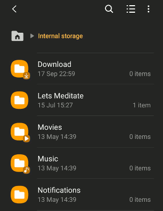 Browse the files in Android phone storage