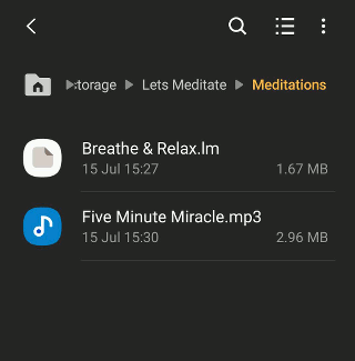 Browse the files in Android phone storage