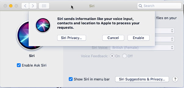 Siri privacy notice in macOS on the Apple Mac