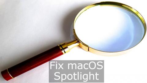 Fix problems with Spotlight in macOS by clearing the index and starting afresh.