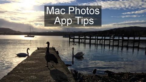 See how to apply fixes and effects to multiple photos in the Photos app on the Apple Mac