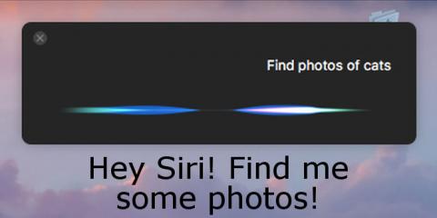 Find photos on your Apple Mac or online with Siri in macOS Sierra and insert them into email messages