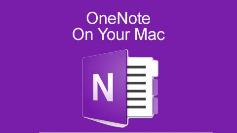 If Apple Notes does not have the features you need, Microsoft OneNote on your Apple Mac could be the answer.