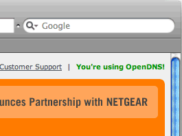 OpenDNS
