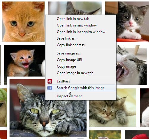 Google image search