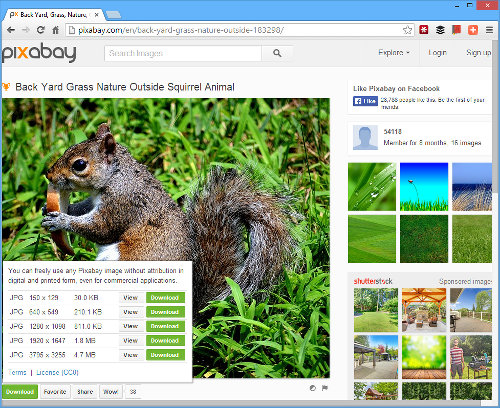 Download free clipart and photos