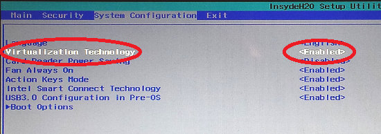 Virtualization settings in the BIOS