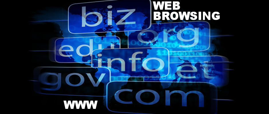 World Wide Web domains