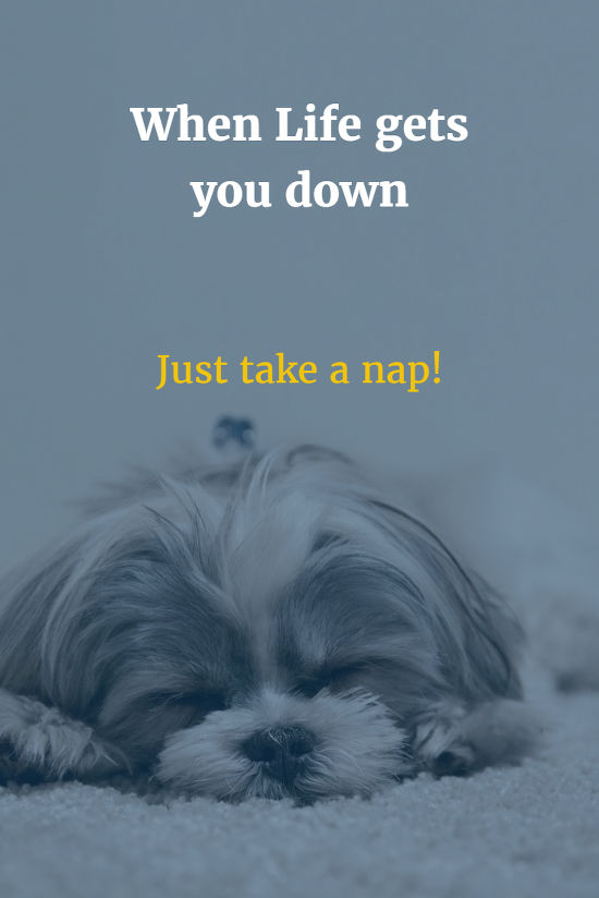 Pablo online image editor for creating shareable images