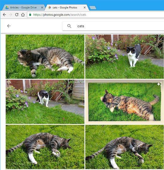 Search for objects, scenes and locations in Google Photos