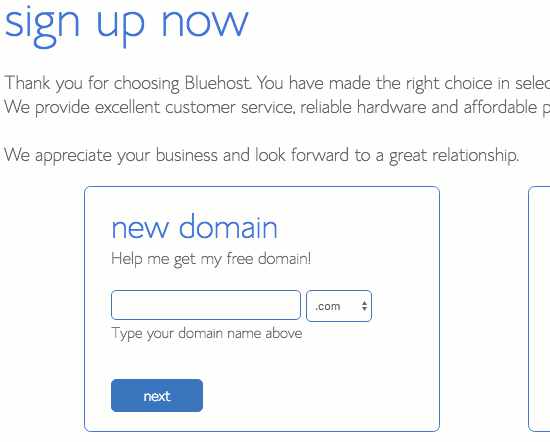 Choose a domain name and make it unique