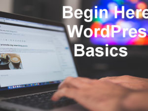 Learn the basics of WordPress. Online course covering how to create posts and pages, install and use themes, create menus and more