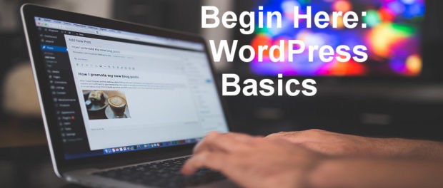 Learn the basics of WordPress. Online course covering how to create posts and pages, install and use themes, create menus and more