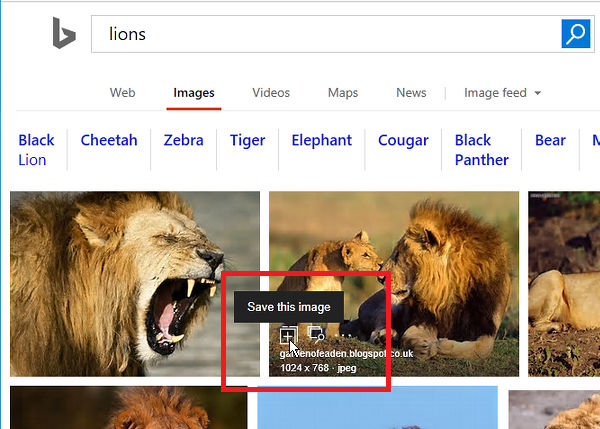 Mouse over the image thumbnails in Bing search results for options