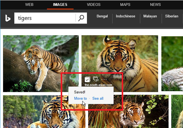 Saved items at the Bing search engine can be moved
