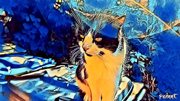 A photo processed with Painnt app for Windows