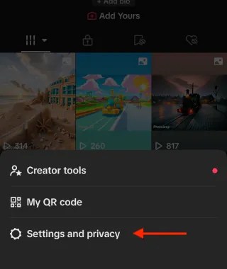 Menu on the profile screen in TikTok.