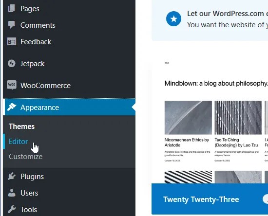 Appearance menu in the WordPress sidebar.