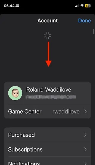 Refresh the App Store on the iPhone.