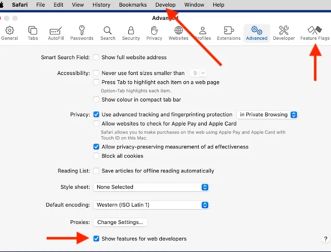 Safari Settings screenshot showing developer options.