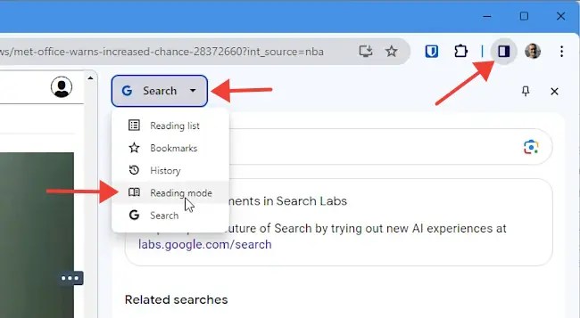 Screenshot of Chrome browser side panel.