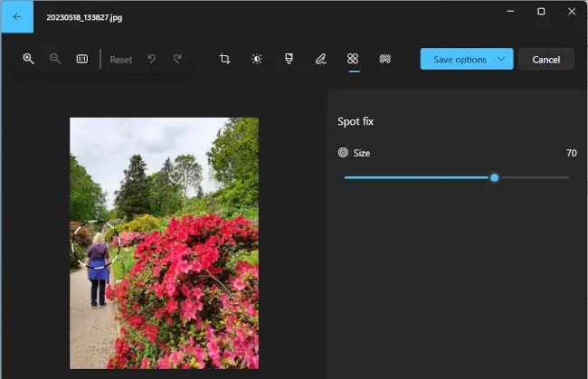 Screenshot of Windows Photos app object removal tool.