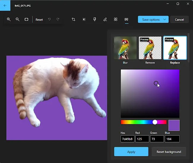 Screenshot of AI background tool in Windows Photos app.